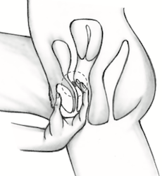 find the g-spot
